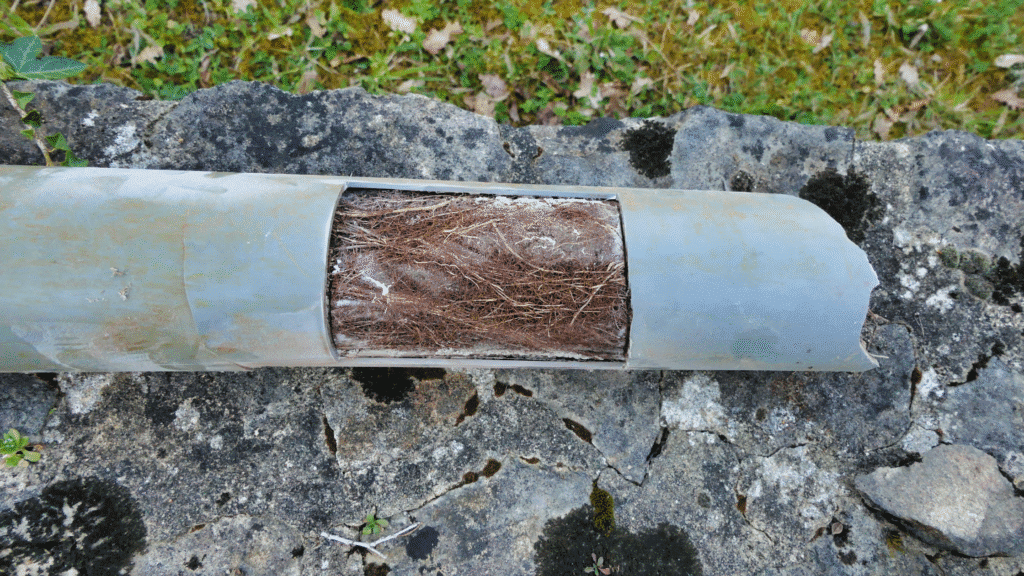 Trusted Sewer Line Replacement in Ventura: When a Repair Just Isn’t Enough